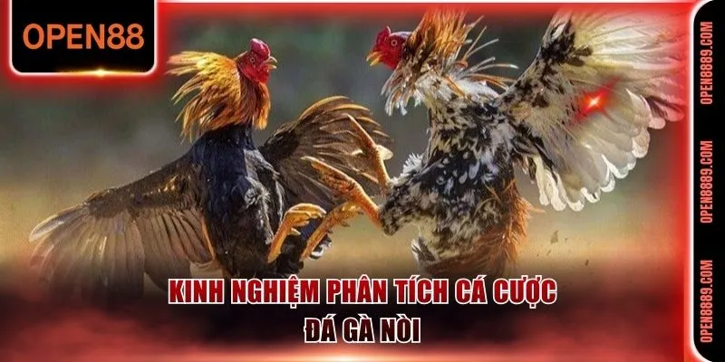 Để dễ dàng thắng cược cần có kinh nghiệm